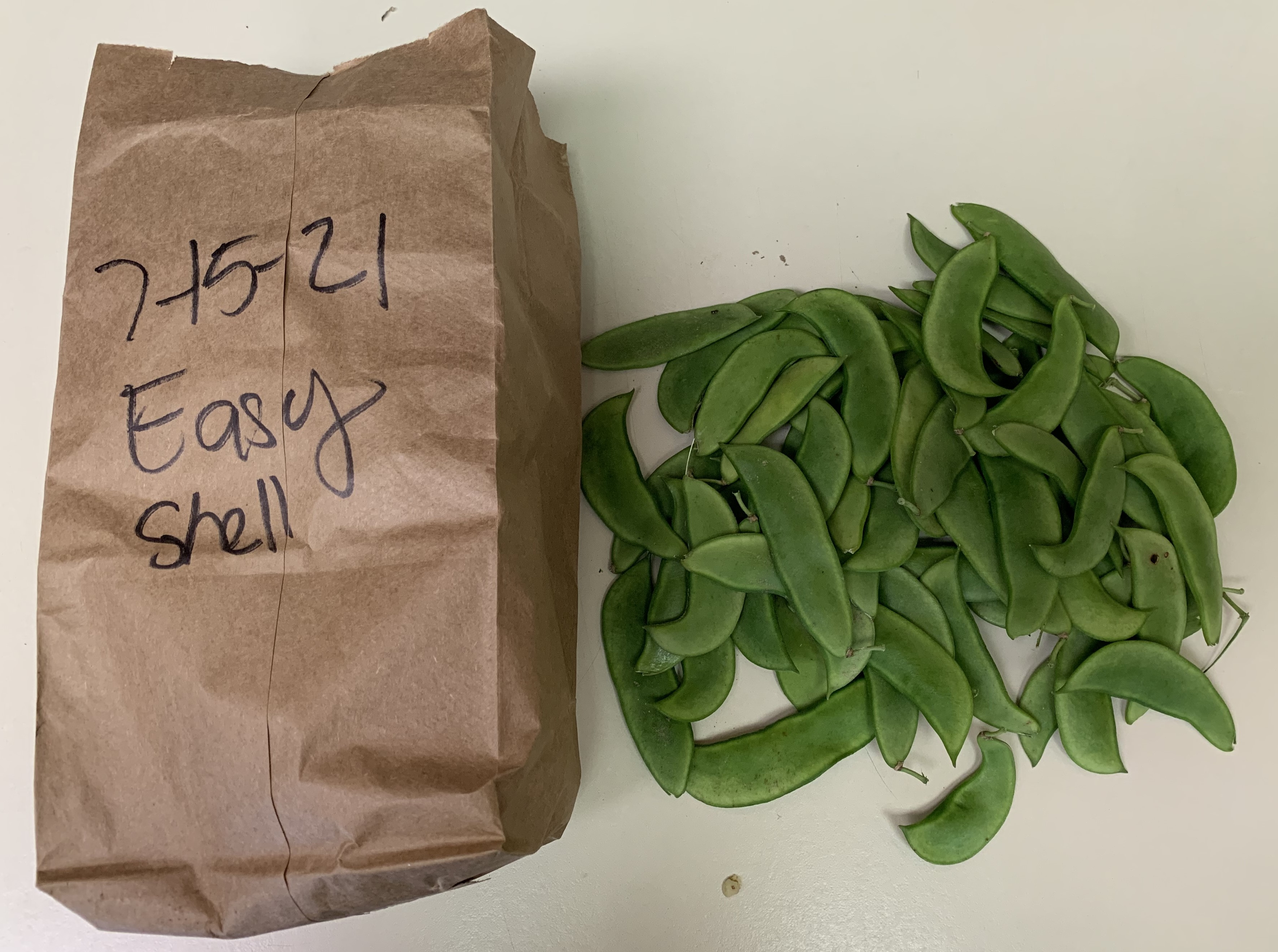 Easyshell Lima Beans.